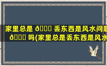 家里总是 🍀 丢东西是风水问题 🐟 吗(家里总是丢东西是风水问题吗怎么解决)
